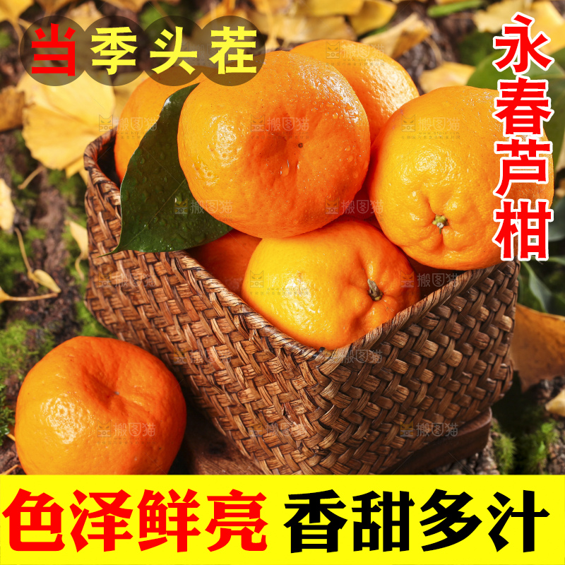 篮子里装着新鲜芦柑