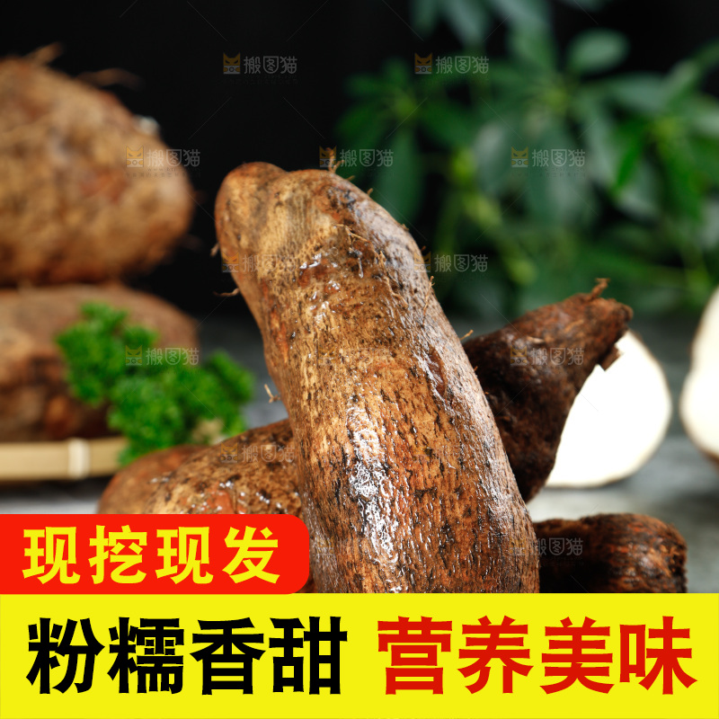 黑底上的金秤砣山药