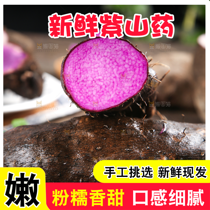 深底上摆放着紫人参