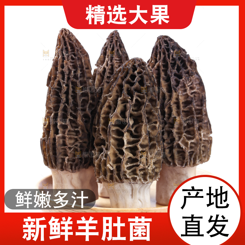 盘子装着羊肚菇
