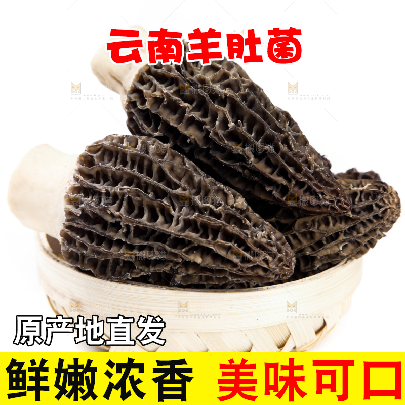 篮子里放着羊肚菇