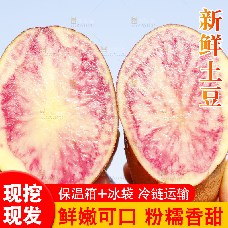 手里拿着彩色土豆