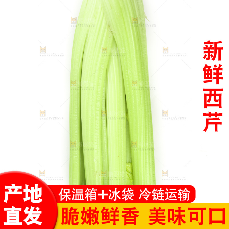 白底上的山东西芹