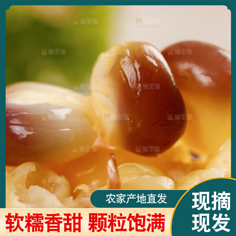 盘子里的玉米粒