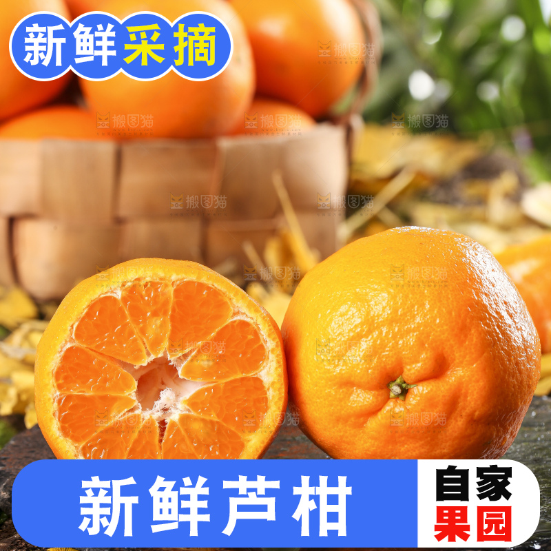 黑石板上的云南椪柑
