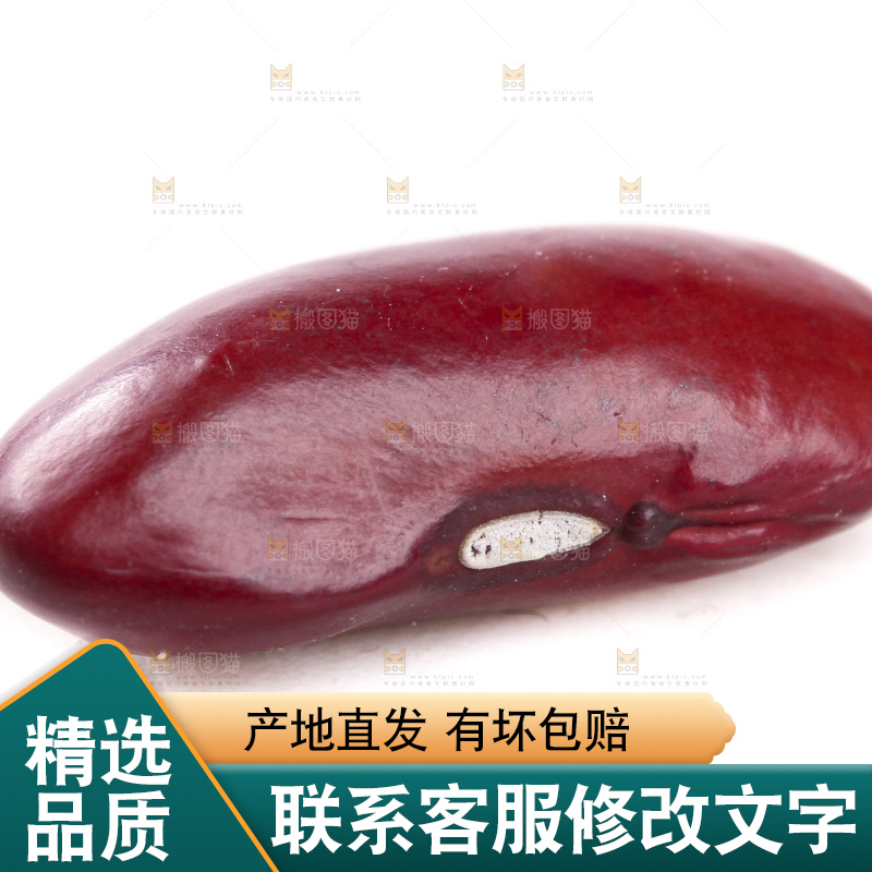 白底上放着红豆