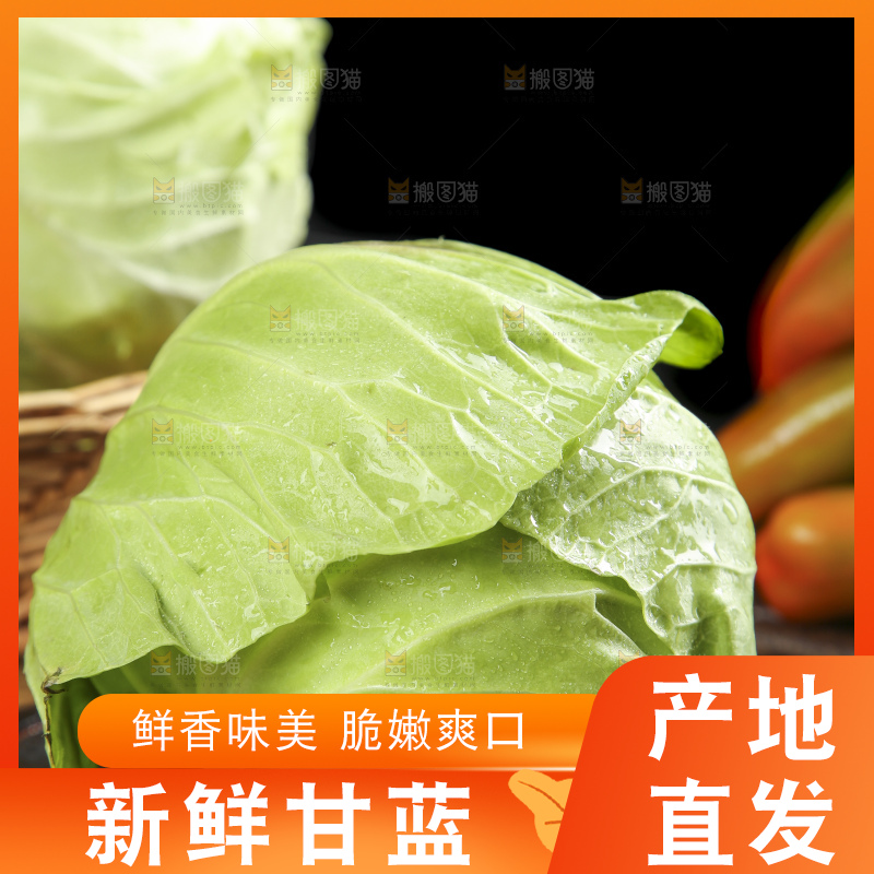 木板上摆放着卷心菜