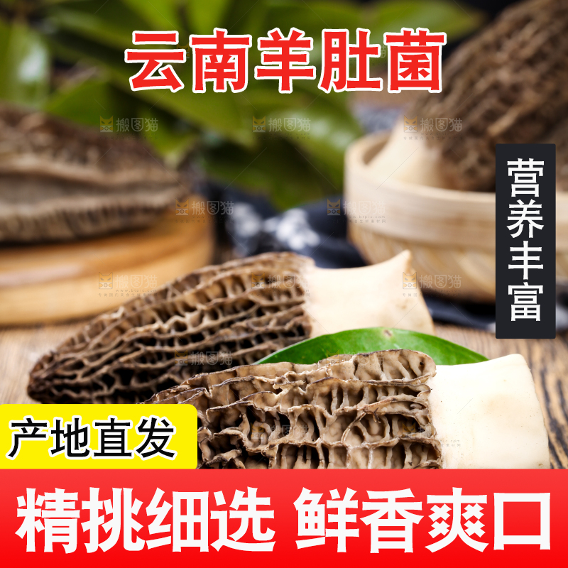深底上摆放着羊肚菌