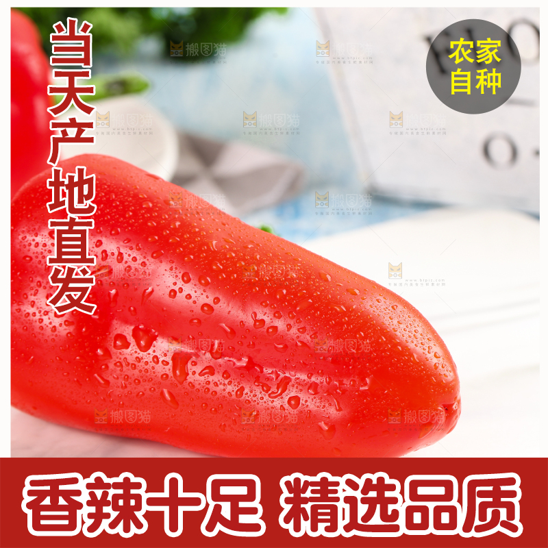 石板上的山东红辣椒