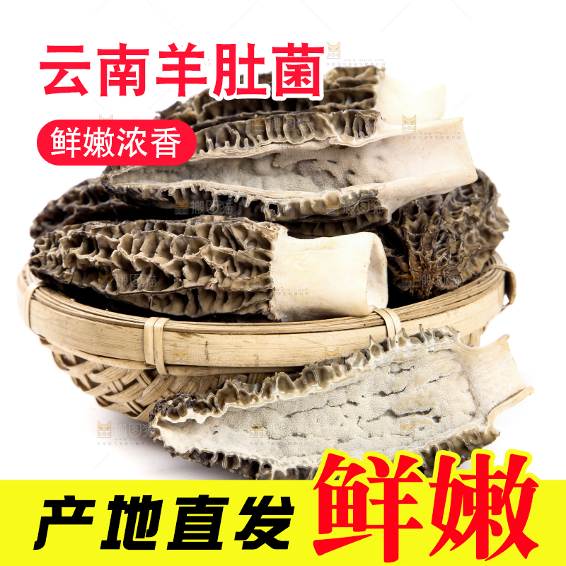 篮子里放着羊肚菇
