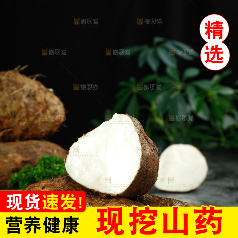 黑底上的金秤砣山药