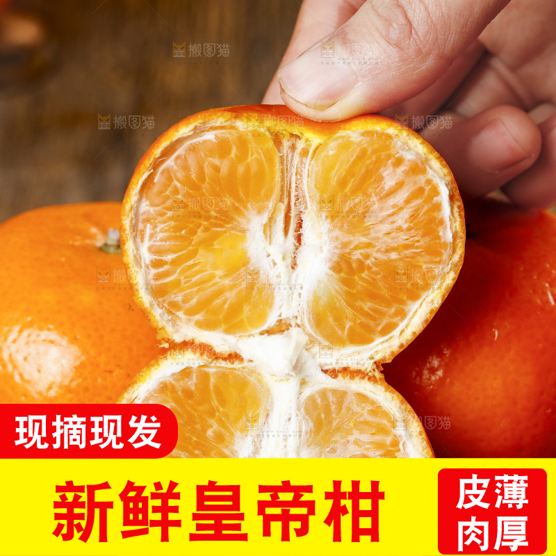 手拿掰开的广西皇帝柑
