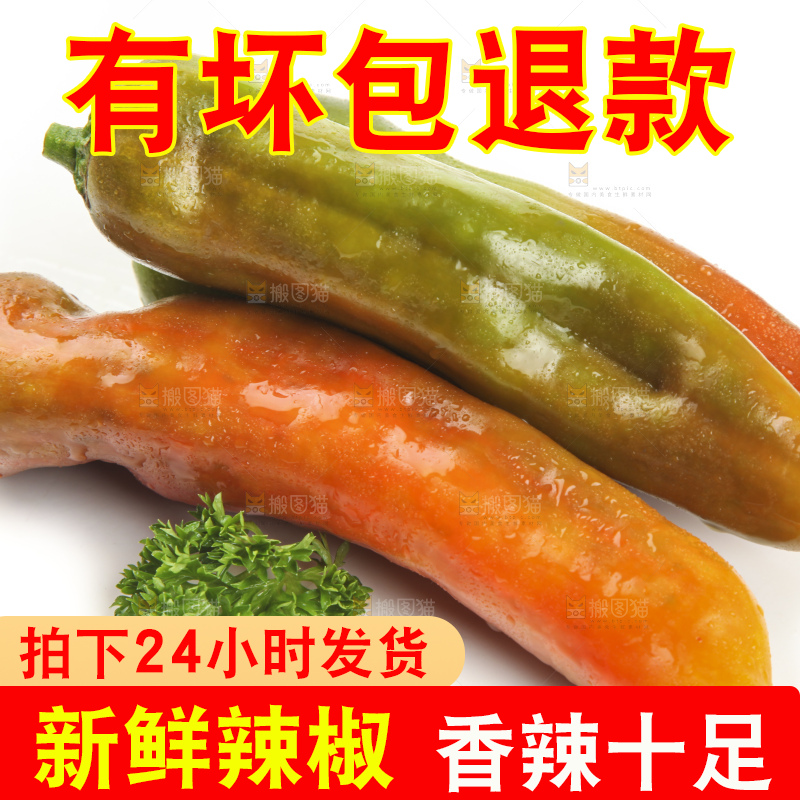 白底上的彩色辣椒