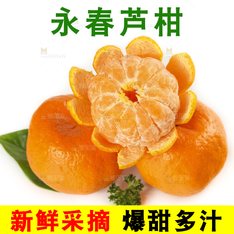 白底上的椪柑橘