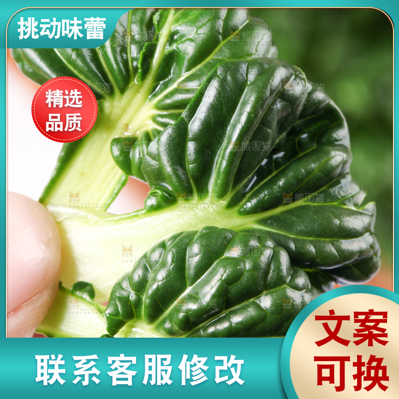 浅底上放着菊花菜