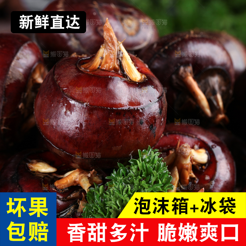 深底上的广西荔浦马蹄