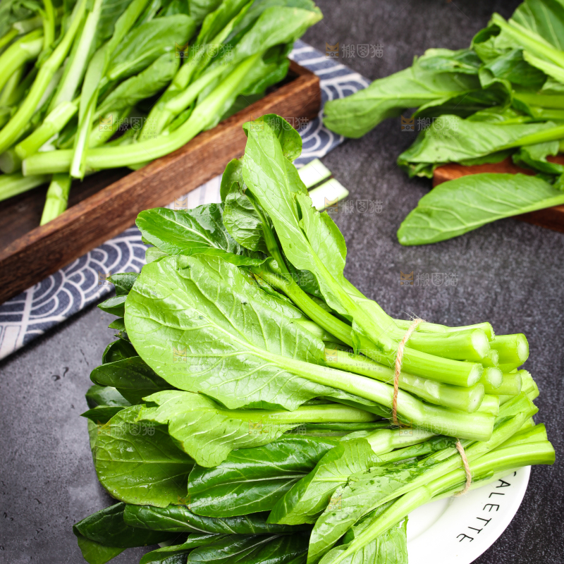 盘子里装着菜苔