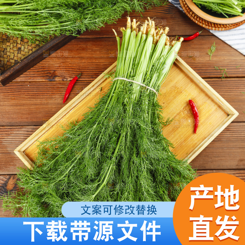 木板上的土茴香