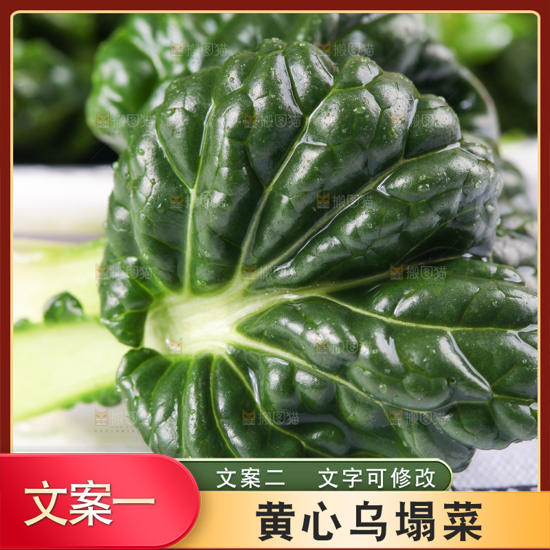 浅底上放着菊花菜