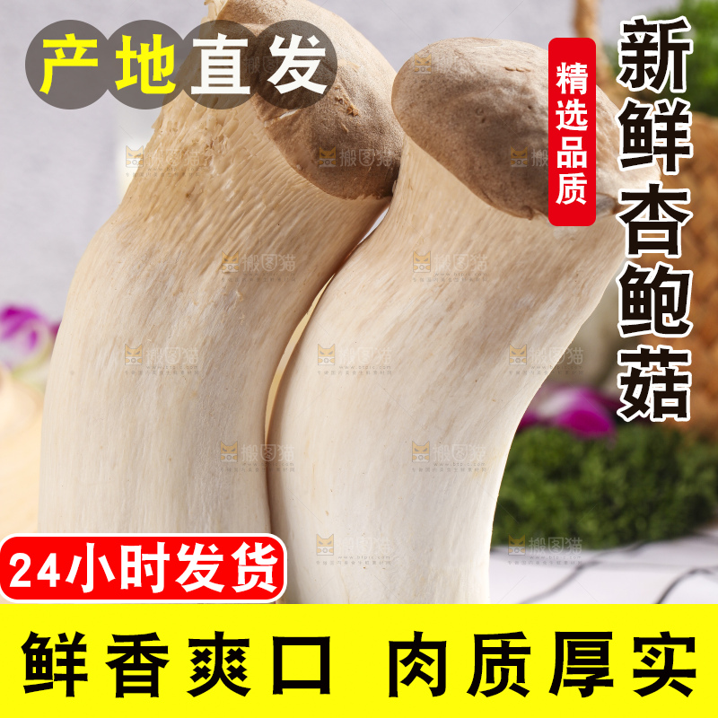 石板上摆放着鸡腿菇