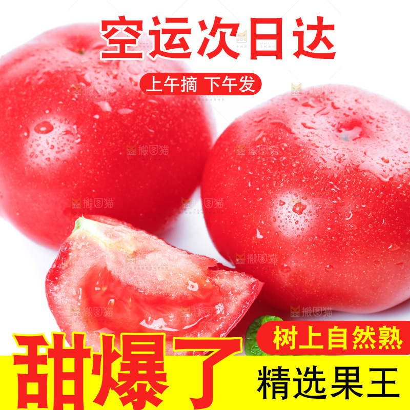 白底上摆放着沙瓤西红柿