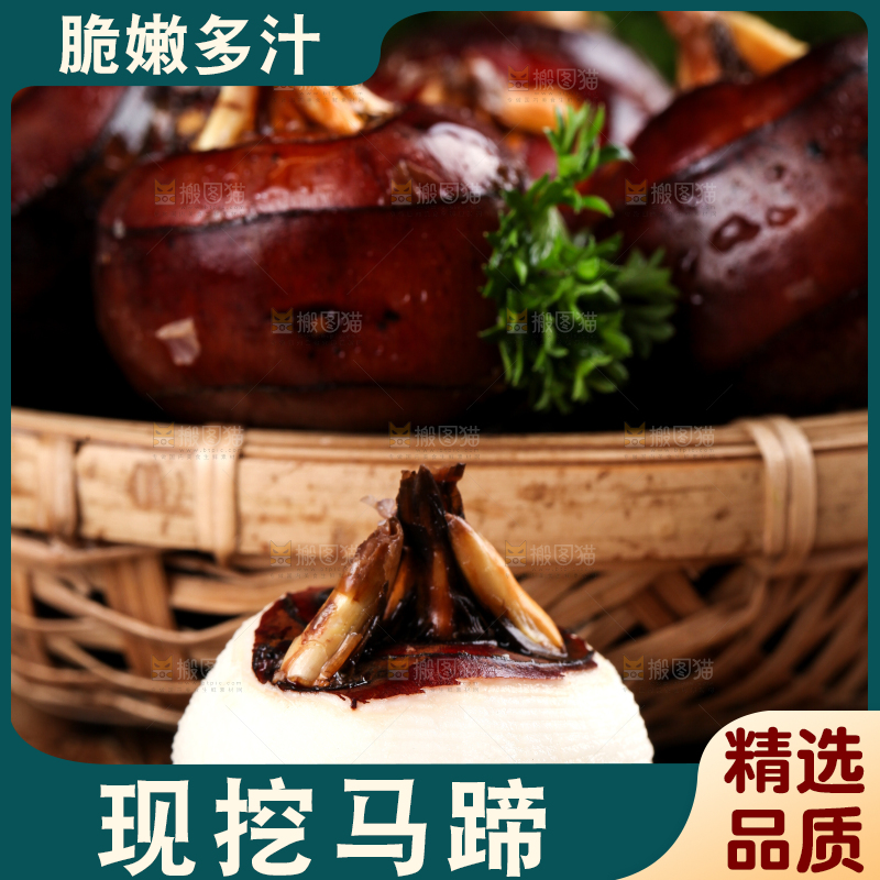 篮子里的红马蹄