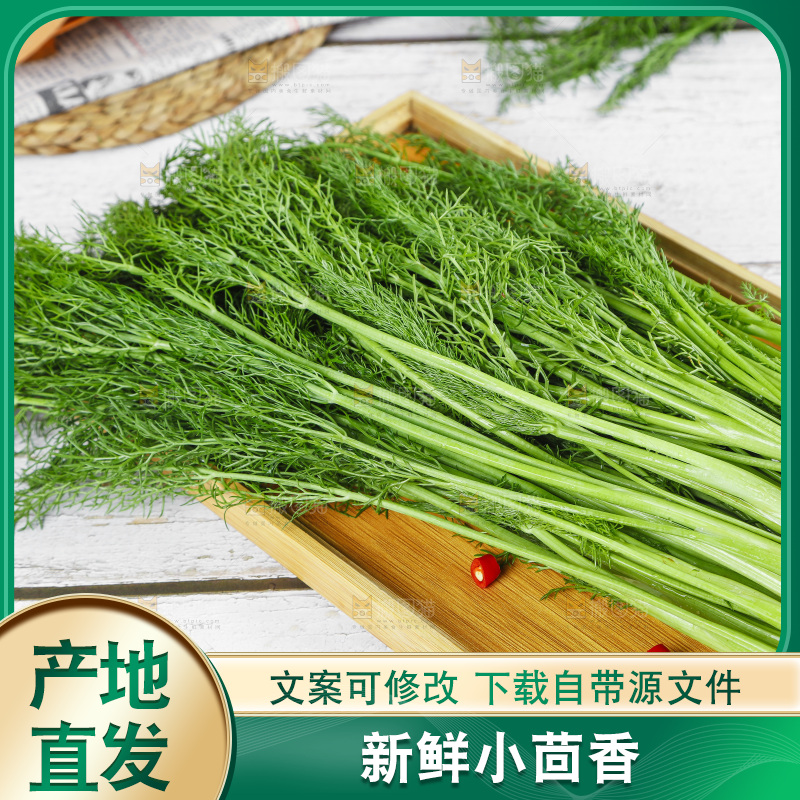 盘子里的云南小茴香菜
