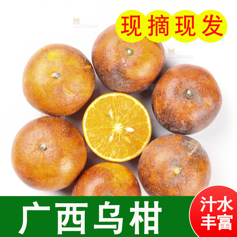 白底上摆放着乌柑