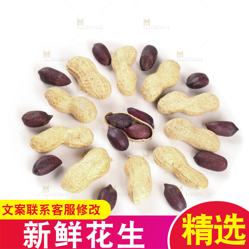 白底上的黑皮花生