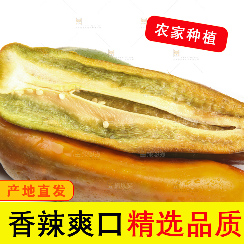 白底上的彩色辣椒