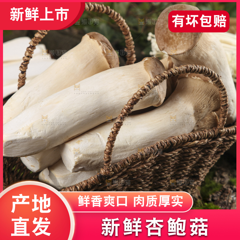 篮子里装着杏鲍菇