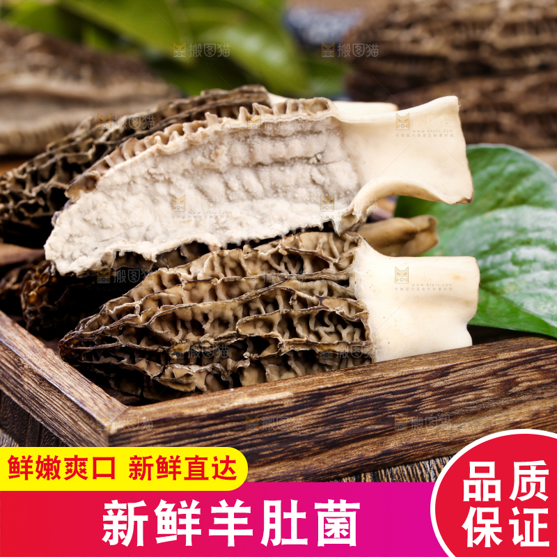 木盒子里放着羊肚菇