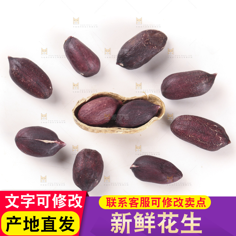 白底上的黑皮花生