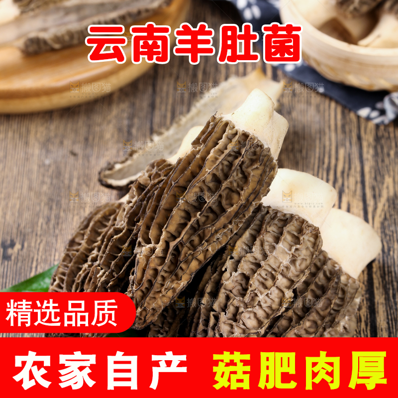 深底上摆放着羊肚菌
