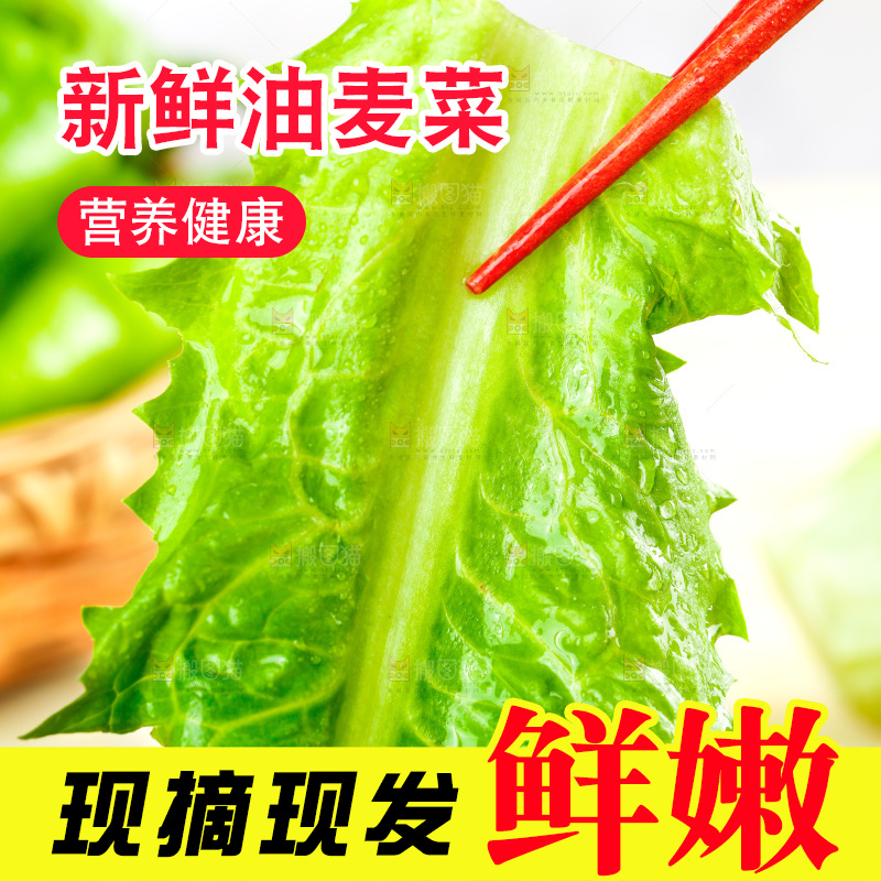 筷子上夹着新鲜油麦菜