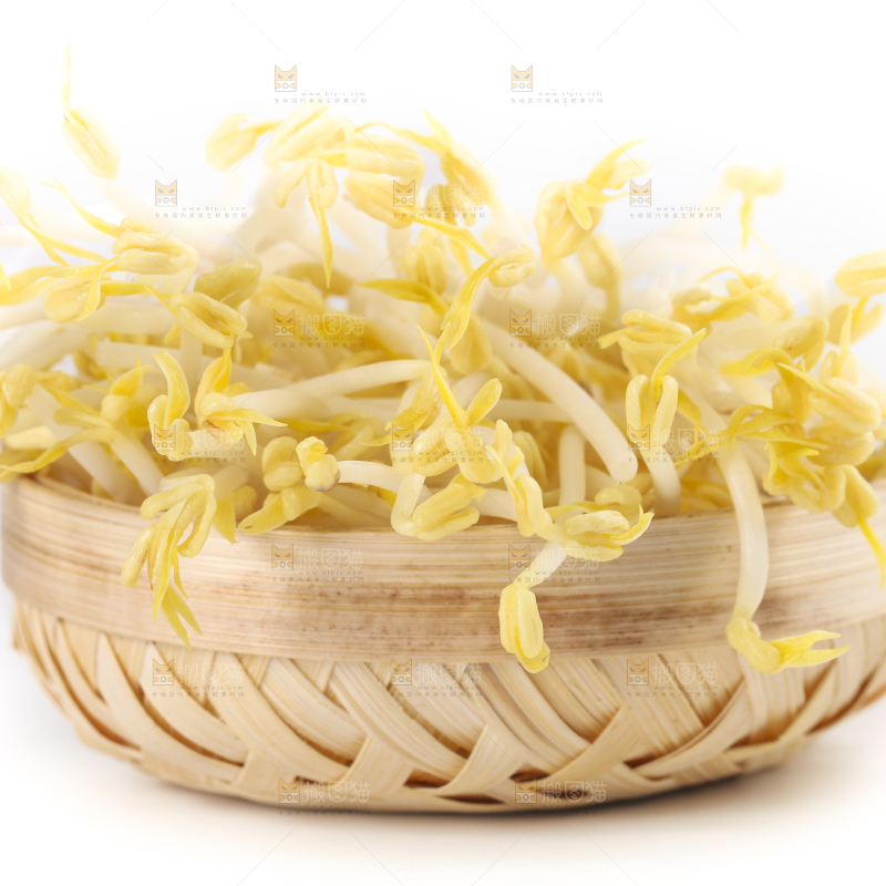 白底上放着绿豆芽