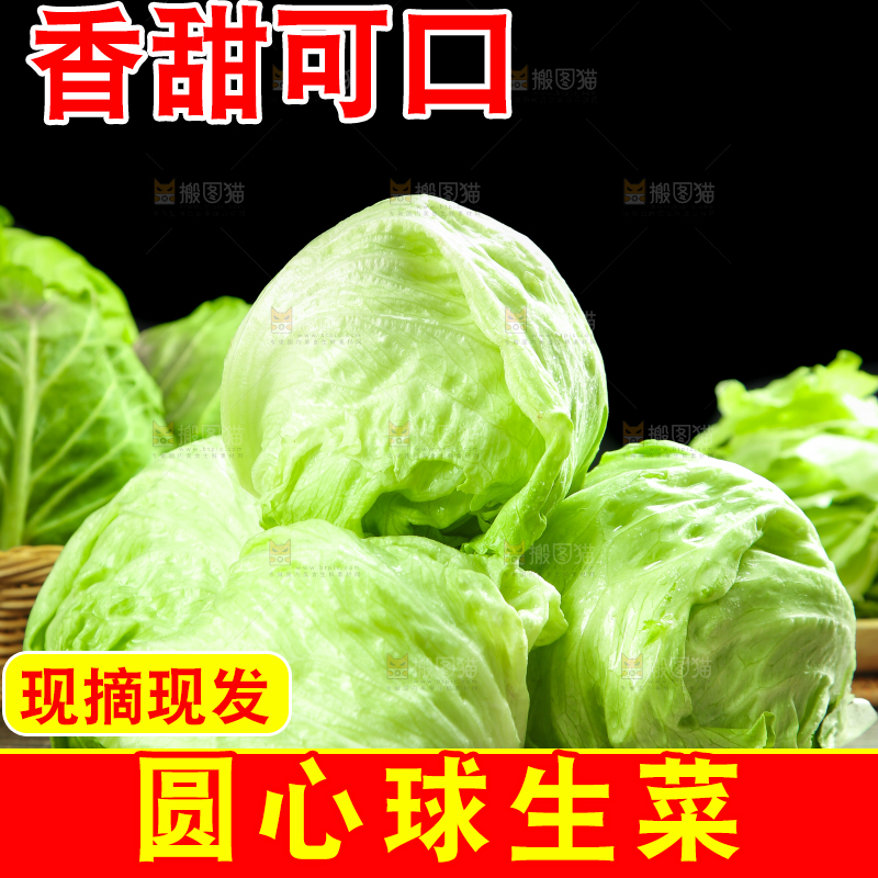 黑石板上放着圆生菜