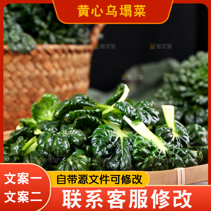 篮子里的新鲜菊花菜