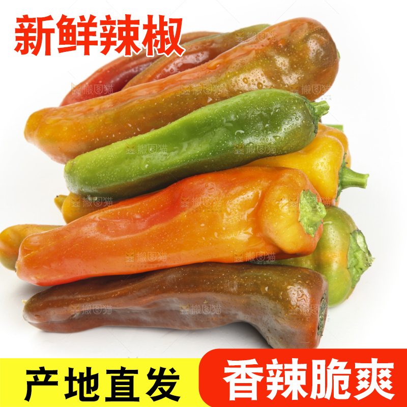 白底上的彩色辣椒