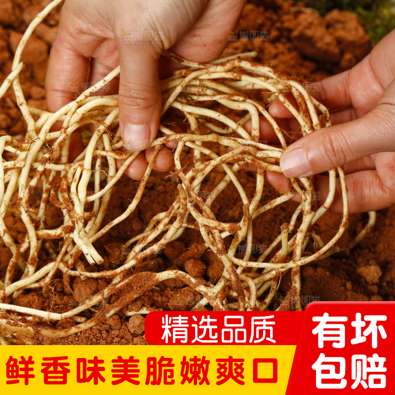手拿鱼腥草