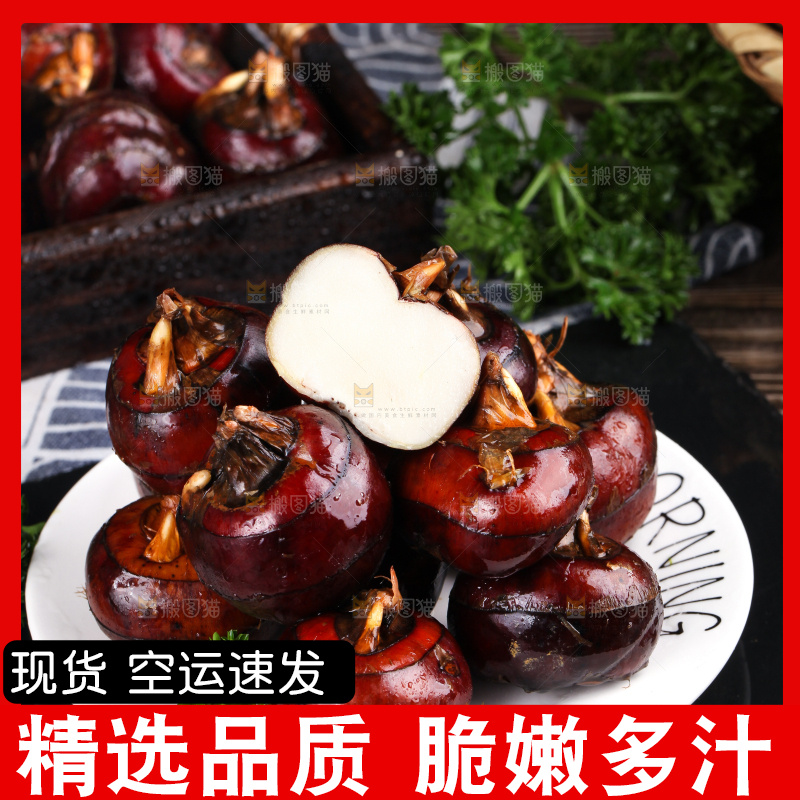 黑石板上的荸荠
