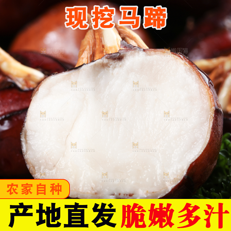 深底上的广西荔浦马蹄