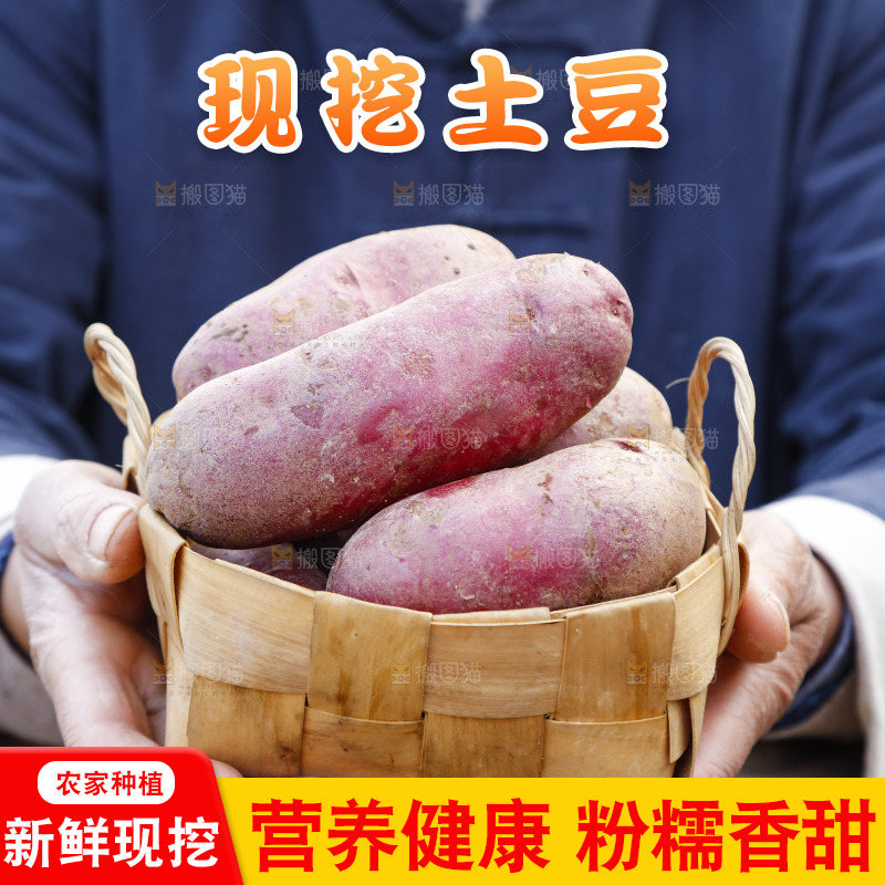 手里拿着新鲜红土豆