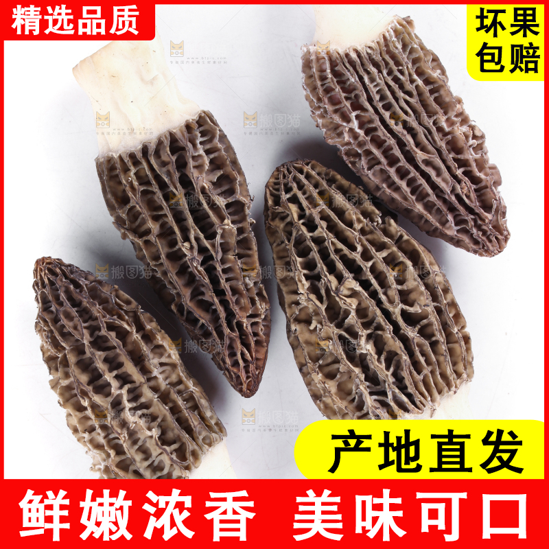 白底上摆放着羊肚菌