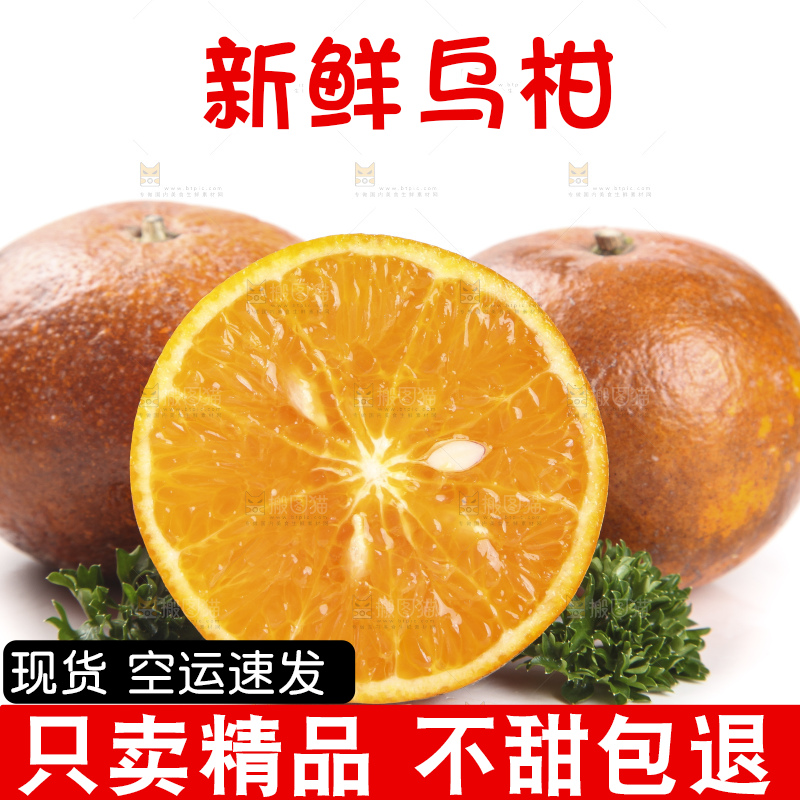 白底上放着新鲜乌柑