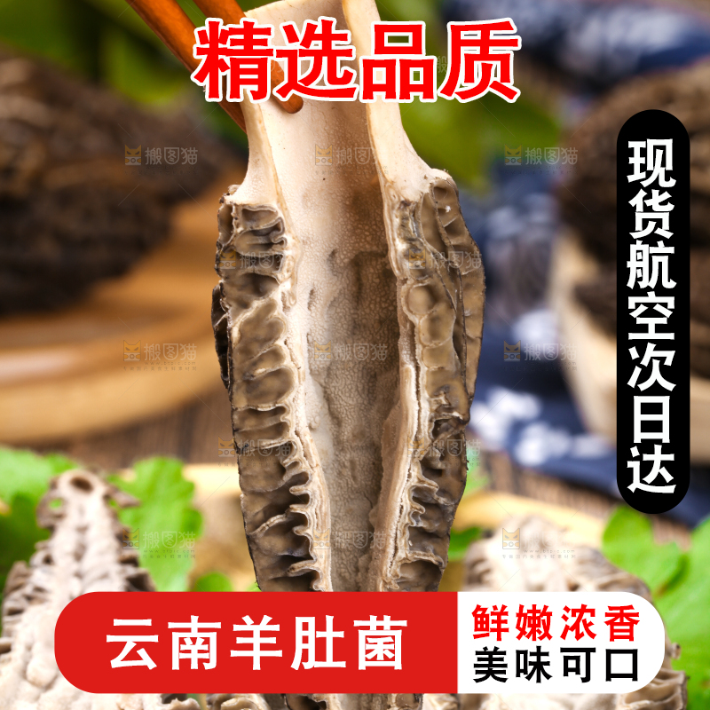 筷子夹着羊肚菇