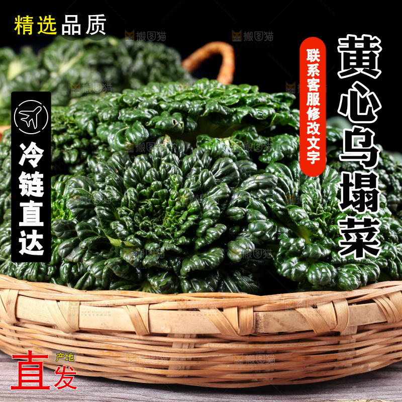 篮子里的新鲜菊花菜