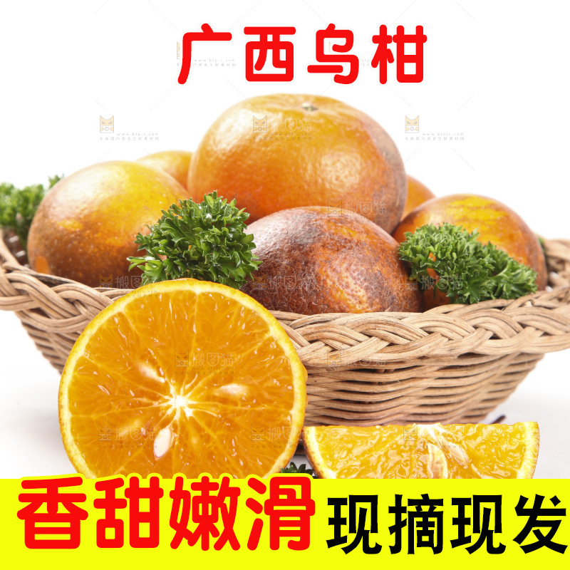 篮子里的广西乌柑