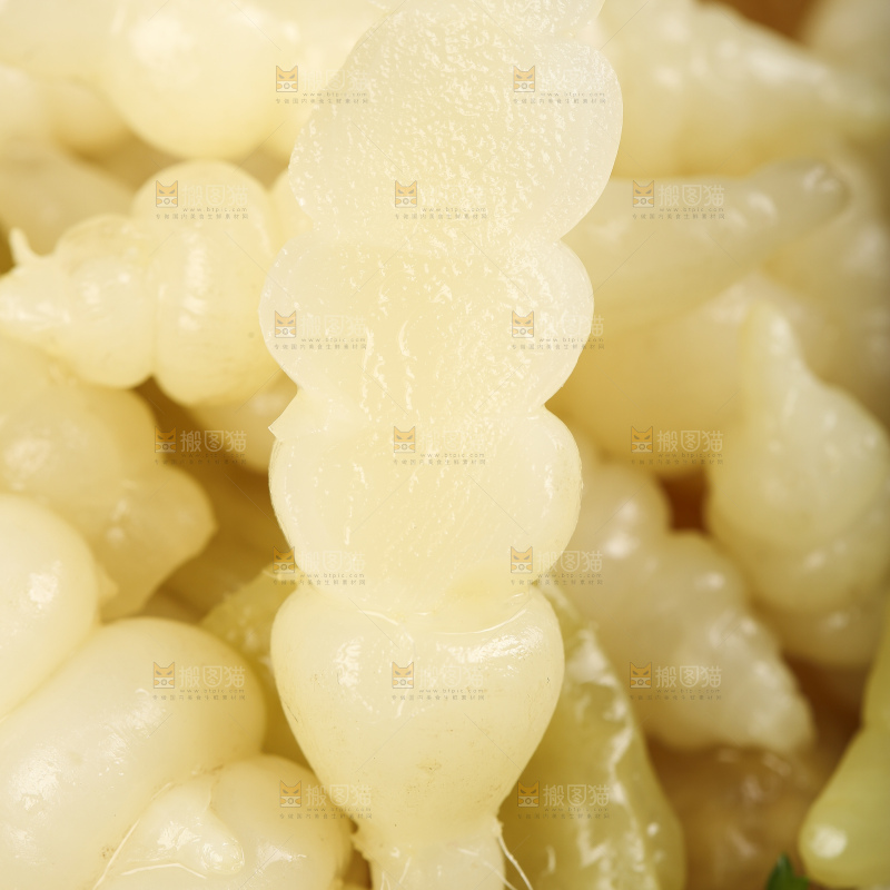 深底上的螺丝菜