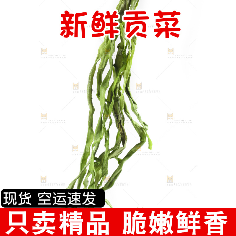 白底上的贡菜